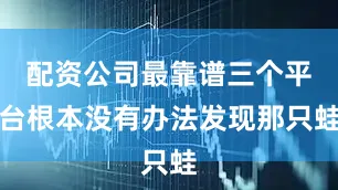 配资公司最靠谱三个平台根本没有办法发现那只蛙