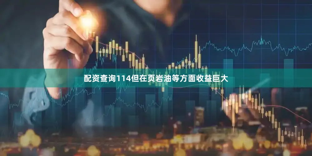 配资查询114但在页岩油等方面收益巨大