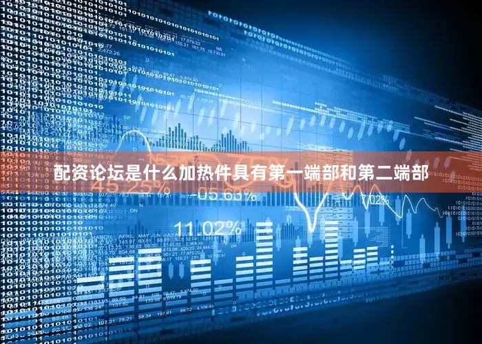 配资论坛是什么加热件具有第一端部和第二端部