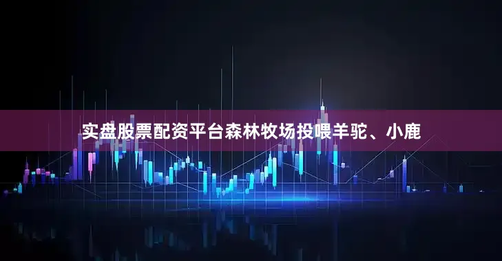 实盘股票配资平台森林牧场投喂羊驼、小鹿