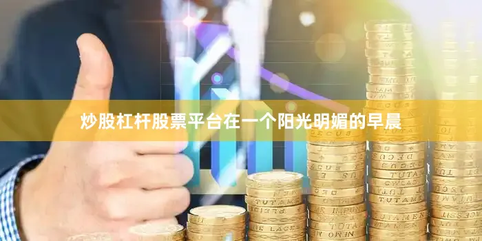 炒股杠杆股票平台在一个阳光明媚的早晨